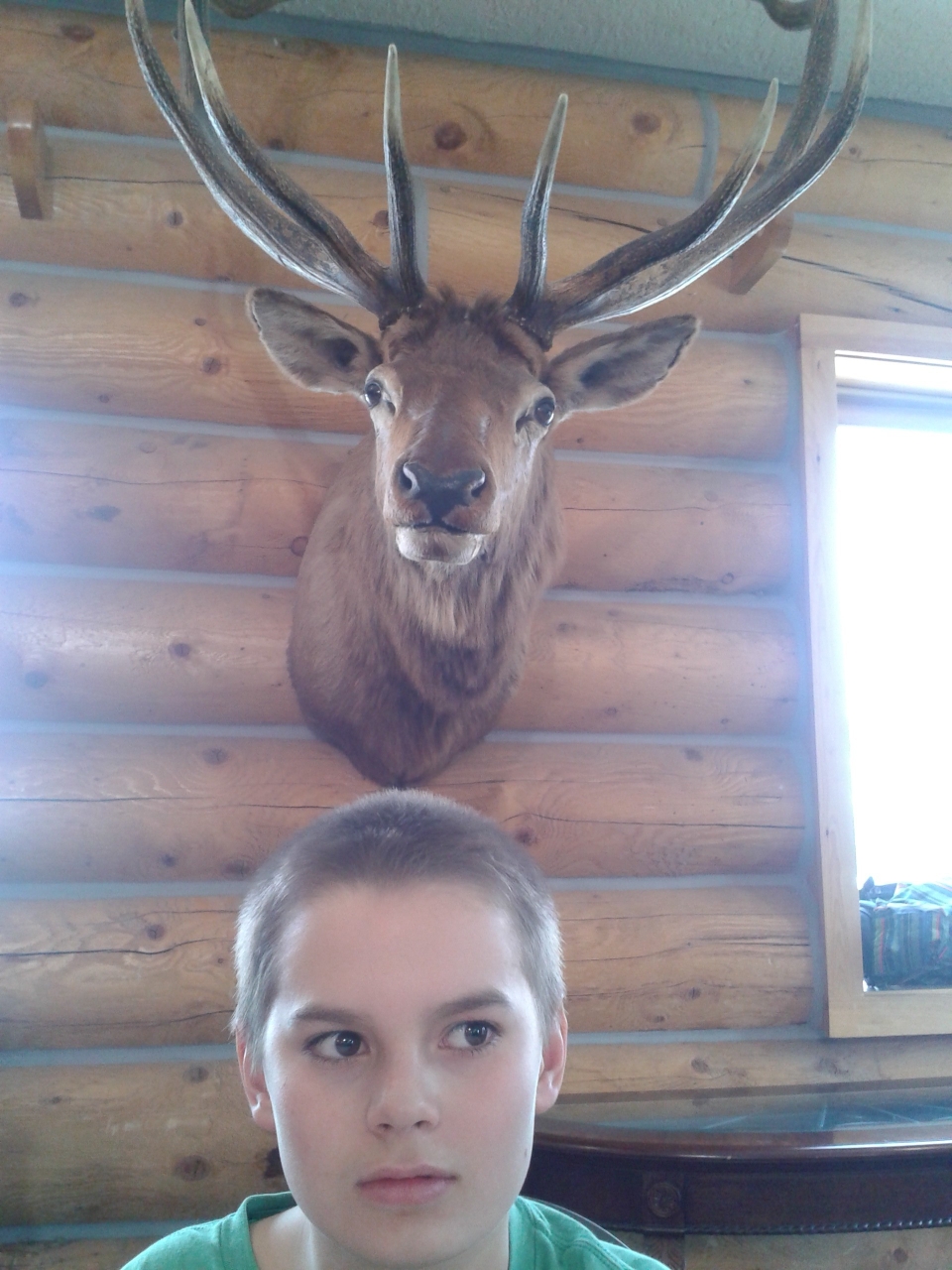I feel like someone's watching over my shoulder. COuld be a guardian angel, could be an elk. Or both.